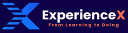 ExperienceX
